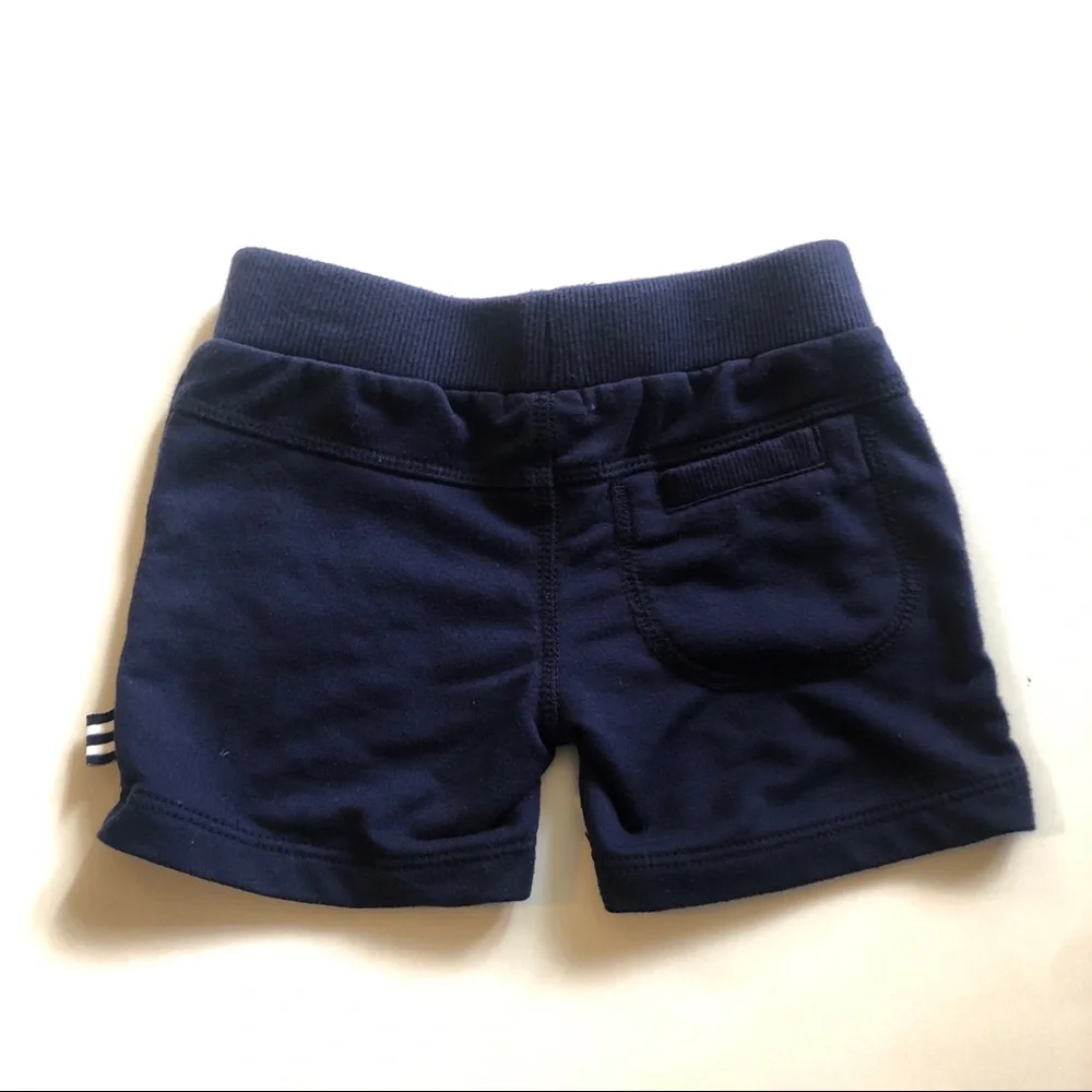 Splendid navy blue
